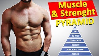 The MUSCLE and STRENGHT PRIORITY PYRAMID by Eric Helms [upl. by Nudd]