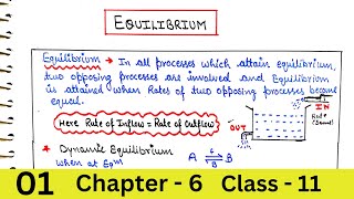 Equilibrium  Physical Equilibrium  Properties of Equilibrium [upl. by Vedi]