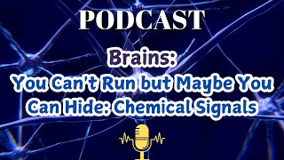 Brain You Cant Run but Maybe You Can Hide Chemical Signals [upl. by Sedinoel]