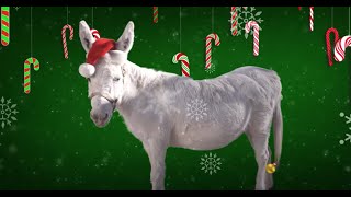 Lou Monte  Dominick The Donkey Official Lyric Video [upl. by O'Meara571]