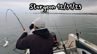 Sturgeon 123123 [upl. by Aroved519]