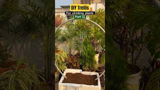 How to build a trellis for climbing plants🌿creeper vines diyideas gardening ashortaday [upl. by Liponis]