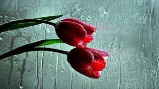 ✿⊱•╮ Spring rain music Giovanni Marradi ✿⊱•╮ [upl. by Flanders787]