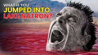 What If You Jumped Into Lake Natron [upl. by Tavie]