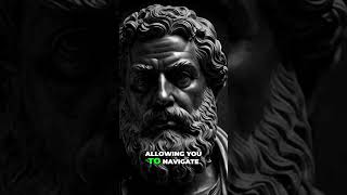 Master Your Emotions  Build Resilience with Stoicism stoic stoicism philosophy [upl. by Grimbal]