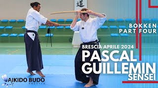 Pascal Guillemin bokken part 4 in Brescia [upl. by Yentrac277]