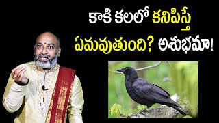 Kaki Kalalo Kanipiste Emavutundi  Crow In Dream Meaning In Telugu  Nanaji Patnaik Astrologer [upl. by Uhp]