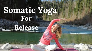 15 Minute Morning Somatic Yoga I Somatic Movement for Beginners [upl. by Athene]