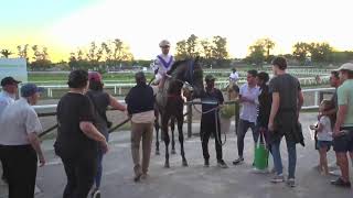 HIPODROMO LAS PIEDRAS 932024 EN VIVO [upl. by Nyledam]