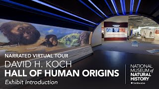 Narrated Virtual Tour David H Koch Hall of Human Origins Exhibit Introduction [upl. by Haman]