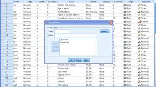 SPSS Training on Analyzing Nominal and Ordinal Data [upl. by Enailuj]