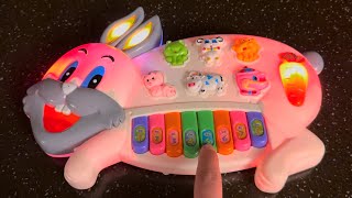 Rabbit piano be like [upl. by Drusy]