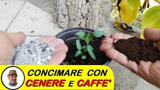 CONCIMARE CON LA CENERE E CAFFE [upl. by Sitnalta]