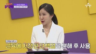 단백질 섭취가 부족하면 근육에 있는 단백질을 분해한다 근감소증을 예방하는 방법  리얼건강스토리 일당백 16 회 [upl. by Derinna]