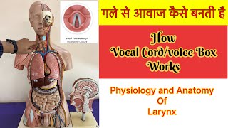 गले से आवाज कैसे निकलती है । How Vocal CordVoice box works । Larynx या गला अंदर से कैसा होता है [upl. by Naerad]