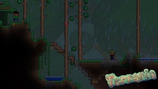 Rain Aarons Remix Terraria [upl. by Ojillek]