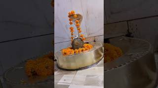 Har har Mahadev 🙏🥺mahadev sorts viralvideo mahakal [upl. by Araf808]