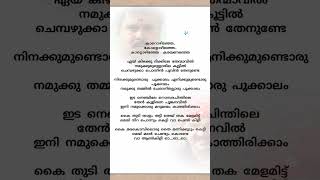 കൈ തുടി താളം തട്ടി 🎶Kalyanaraman movie shorts malayalamlyrics kalyanaraman [upl. by Enirehtakyram389]