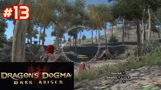 Dragons Dogma Dark Arisen  Episode 13 Speed Leveling The Magick Archer [upl. by Cordalia]