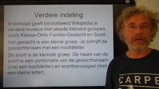 Biologie HV OB Indelen in steeds kleinere groepen [upl. by Jardena]