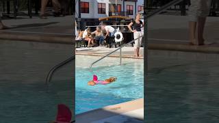 Pawsome pool party puppypoolparty pawsinthepool puppysummerfun poolpups [upl. by Ahsyle]