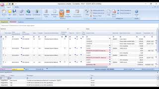 1 Sistema Professionista  Acquisizione consegna e interfaccia grafica importatore [upl. by Kacie]