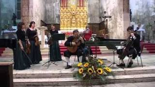 Zarko Ignjatovic plays Vivaldis Lute Concerto in Dmajor 2nd movement Largo [upl. by Enoed]