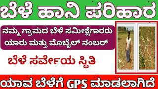 How to check bele survey status in online  bele parihara status in kannada  bele survey status [upl. by Enyehc]