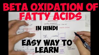 BetaOxidation of Fatty Acids in hindi  Lipid Metabolism  Biochemistry [upl. by Inattyrb]