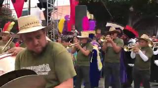 Chinelos San Pedro Martir quotBanda Trombaquot 2019 [upl. by Letnohs]