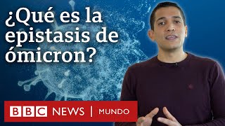 Qué es la epistasis y por qué es fundamental para entender a ómicron  BBC Mundo [upl. by Cheri]