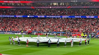 Benfica 40 Atletico Madrid UEFA Champions League Round 2 202425 [upl. by Kirkwood]