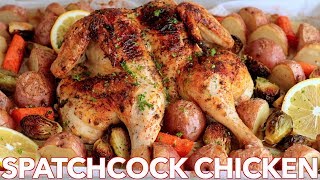 Roasted Spatchcock CHICKEN Recipe  ONE PAN Chicken Dinner [upl. by Lemire]