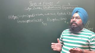 Morphology of Flowering Plants Lecture 05 [upl. by Kylstra]