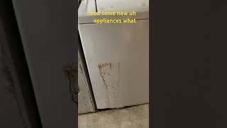 Foreclosure Find Is This Laundry Room a Dealbreaker [upl. by Elakram]