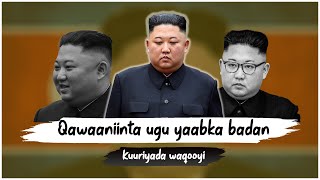 Kuuriyada waqooyi 🇰🇵  Qawaaniinta ugu yaabka badan ee ka jira dalkaas [upl. by Leunammi]