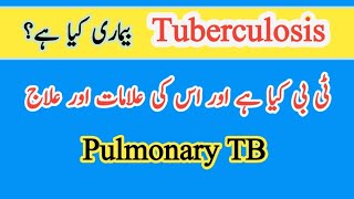 What is Tuberculosis in UrduHindi Symptoms amp Treatment of TB [upl. by Akeenahs]