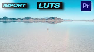 How To IMPORT LUTS Into PREMIERE PRO [upl. by Golding]