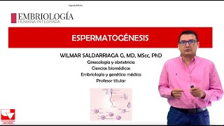 Espermatogénesis Capitulo 2 Embriologia Humana Integrada [upl. by Del90]