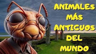 ANIMALES QUE MÁS TIEMPO HAN EXISTIDO EN LA TIERRA [upl. by Matelda]