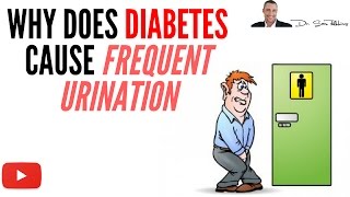 ■Why Does Diabetes Cause Frequent Urination  by Dr Sam Robbins [upl. by Winthorpe]