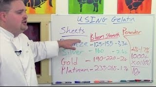 Understanding Gelatin Sheets V Powder Pt 1 of 3 [upl. by Ahsinar]