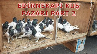 Edirnekapı Kuş Pazarı Part 2 [upl. by Eran]