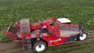 dewulf RA 3060 mit Fendt JohnDeere Gespanne in den Möhren [upl. by Gilder]