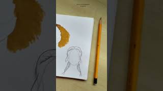 Hairstyles drawing ideashairstyles drawing hairstylehairdrawingdrawingfashionillustrationsart [upl. by Cavil]