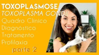 Toxoplasmose toxoplasma gondii  Parte 2  PARASITOLOGIA 4 [upl. by Elletsyrk]