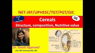 Cereals Structure composition Nutritive value Food and Nutrition Home Science NET JRF TGT PGT [upl. by Barbabas]