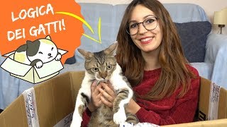 24 ORE IN UNA SCATOLA CON IL MIO GATTO logica dei gatti 🎁🐱 [upl. by Scuram24]