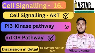 PI3 Kinase Pathway  PI3 Kinase AKT signalling pathway  PI3aktmTOR pathway [upl. by Theron]