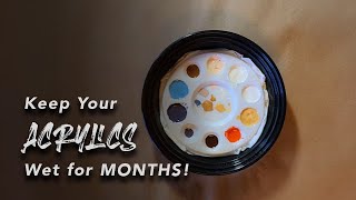 How to keep acrylic paints wet for MONTHS [upl. by Gnihc]